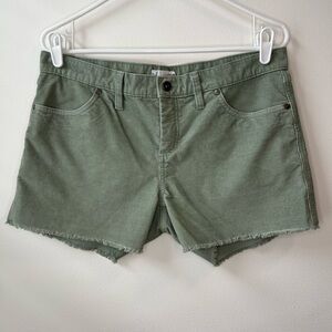 Carve Designs Green Women Shorts